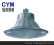 武汉固态应急标识灯便携式多功能强光灯