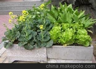 廠家供應(yīng)樓頂種菜植草隔熱磚 種菜盆隔熱磚（出廠價(jià)）圖片