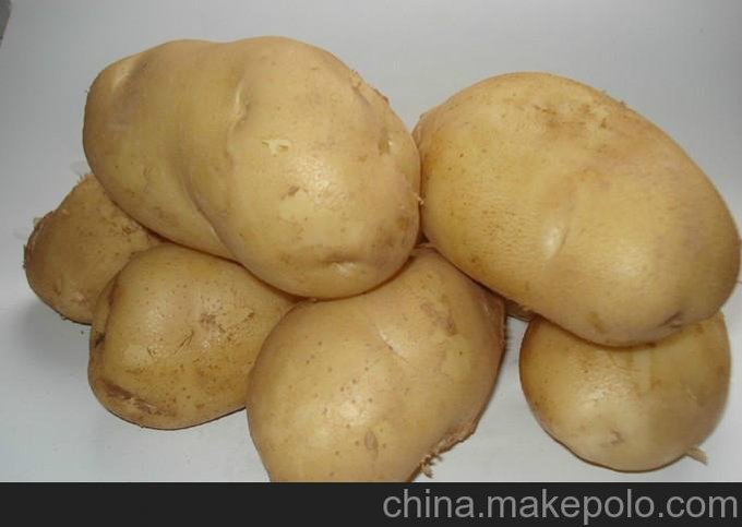 供應(yīng)北京金農(nóng)豐源高產(chǎn)優(yōu)質(zhì)脫毒大西洋土豆種子價格圖片