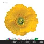東莞富森轉(zhuǎn)印貼紙 棉布柯式燙畫(huà) 皮革燙畫(huà) 熱轉(zhuǎn)印燙畫(huà) 四色燙畫(huà)圖片
