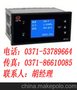 供应WP-LN802-02-AAG-HL--流量积算控制仪--上润品牌