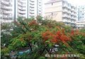 伍堡 —泉州轻质隔音板—  泉州隔音板  赞赞