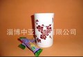 专业生产加工水杯，情侣杯，咖啡杯，马克杯，礼品杯