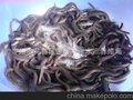 供应白鳗苗