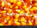 批发加工供应玉米,杂粮 玉米渣 玉米面