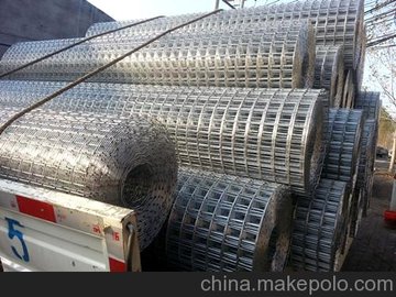 ֱ纸