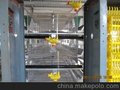 全自动鸡笼，蛋鸡笼兼育雏笼，厂家直销