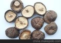 香菇素有菇中之王”、“蘑菇皇后”、“蔬菜之冠”的美称