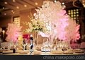 长沙草坪婚礼,长沙草坪婚礼策划,湖南长沙皇嘉婚庆