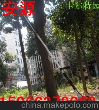 供應(yīng)現(xiàn)貨包郵高枝油鋸圖片