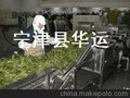 新果蔬清洗机网链报价/华运技术