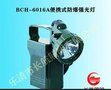供应便携式防爆强光灯&便携式防汛工作灯&应急工作灯