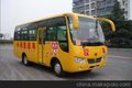 供应金龙HQG6660EXC3校车