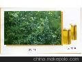 供应海瑞香精艾叶油哎叶油