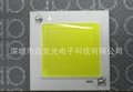 9W陶瓷COB正白