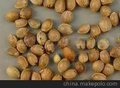 供应火麻仁油 火麻子油