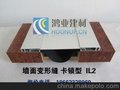 外墙变形缝伸缩缝 双卡IL2