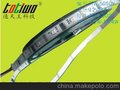 SMD5050 60颗5m/卷 黄色LED软灯条、LED装饰灯具