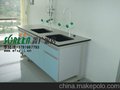 潍坊实验室家具 潍坊天平台高温台 潍坊通风橱气瓶柜0824