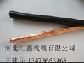 河北供应DJVP2VP2电缆