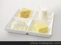 供应Bitzer/很多芜湖奶制品冷库