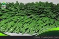 供应优质羽毛球场专用草坪产品 厂家直销