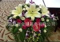 显昶会展会用用花 绿色植物 讲台花