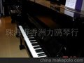 湛江吳川租鋼琴--50元（起）