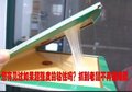 供应其他粘鼠板
