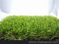 供应35mm人造草坪浙江厂家