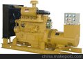 上柴柴油发电机组报价（250KW上柴发电机组价格参数）