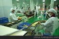 无锡旧无菌灌装机生产线进口单证代理报关清关运输