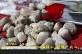 各种型号石英砂-石英砂滤料-石英砂