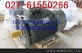 高效電動機供應廠商