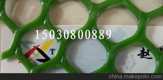 金豪絲網(wǎng) 塑料養(yǎng)鴨網(wǎng)圖片