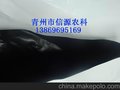 黑白膜\pet黑白膜\pet黑白膜厂家-信源