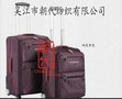 供应朝代纺织CD-R9087RPET箱包面料