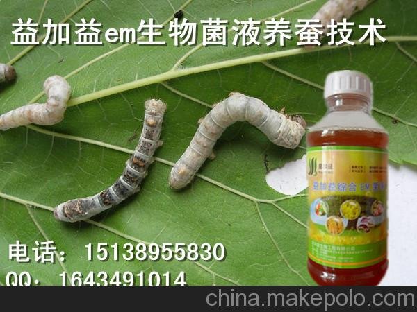 供應益加益動(dòng)物em原液益生菌養蠶的方法圖片