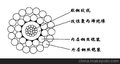 供应8.00mmWGSB单芯改聚丙烯绝缘双钢丝电缆