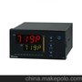 AI-719P程序型人工智能温控器/调节器
