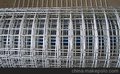 供应安平权鹏建筑用电焊网/防裂网/抹灰网
