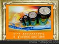 九阳厂家直销干电池 各种干电池供大家选购