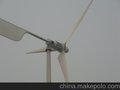 supply 3kw wind turbine