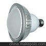 10-12W PAR30 LED 大功率射灯