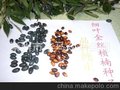 销售金丝楠木树苗 苗木种子 细叶金丝桢楠树 苗木 种子 种苗
