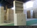 药品/文件柜/铁皮柜