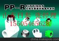 山东日泰寿光市PPR管材管件