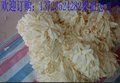 屏幕专用防静电乳胶手套 净化乳胶手套 净化丁腈手套