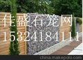 供应佳盛覆塑加筋石笼网 热镀锌6*8格宾挡土墙 防冲刷雷诺护垫