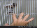 供应云飞五金丝网358反扒网  护栏网   高安全防护网